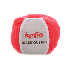 Ingenious big - Katia